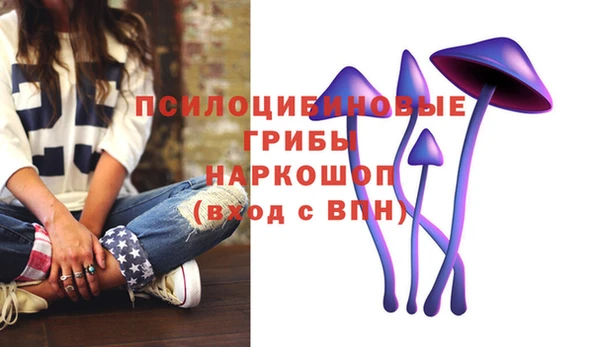 spice Богородск