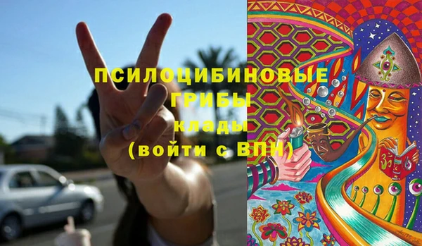 меф Богородицк