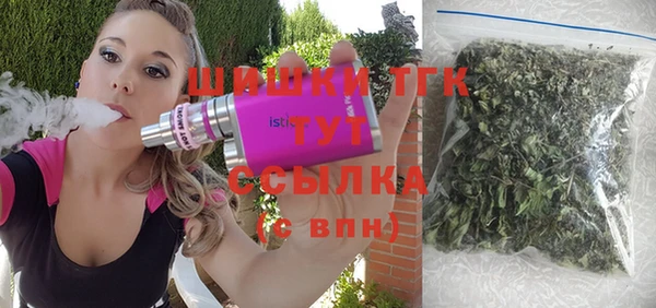 spice Богородск
